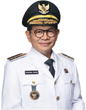 Gubernur DKI Jakarta